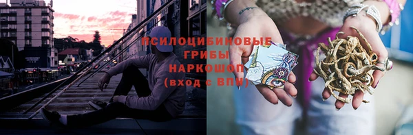 дживик Новодвинск