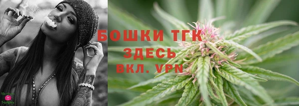 СК Новокубанск
