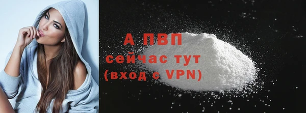 СК Новокубанск