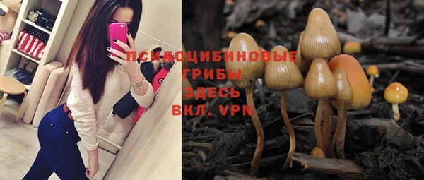 СК Новокубанск