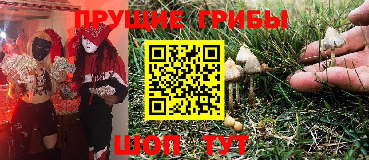 Галлюциногенные грибы GOLDEN TEACHER Белореченск